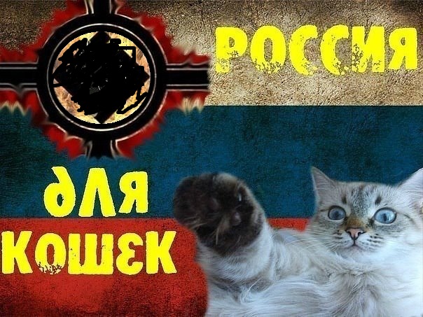 Россия для кошек_цензура.jpg